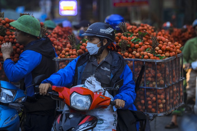 Chùm ảnh: Người dân Bắc Giang trắng đêm soi đèn thu hoạch vải thiều, nô nức chở đi bán từ tờ mờ sáng - Ảnh 16.