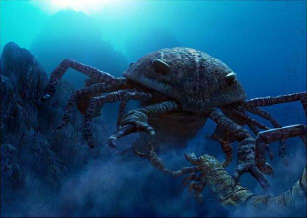 Loài bọ cạp biển dài 2 mét đã tuyệt chủng bất ngờ được phát hiện ở Úc - Ảnh 3.