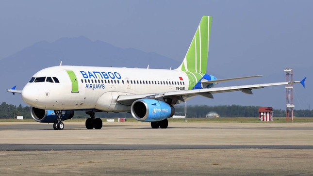  Lý do Chủ tịch Bamboo Airways xin từ chức  - Ảnh 2.