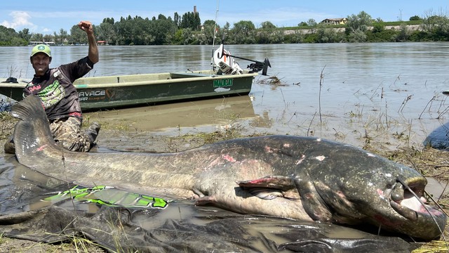 Đi câu ở con sông dài nhất Ý, bắt được quái thú nước ngọt 2,8 mét: Lập luôn kỷ lục thế giới! - Ảnh 1.