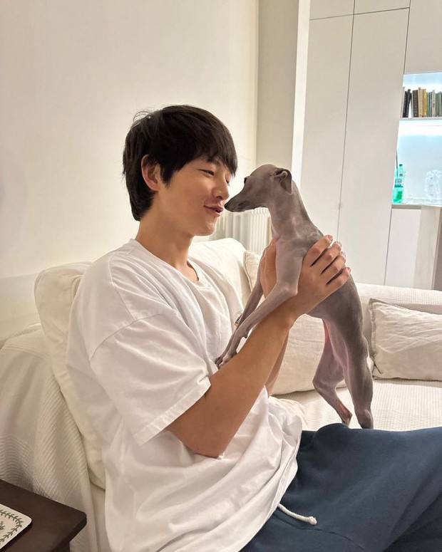 Rộ tin Song Joong Ki ở rể nhà bố mẹ vợ tại Ý dù có nhà tân hôn 300 tỷ ở Hàn, phía nam tài tử nói gì? - Ảnh 3.