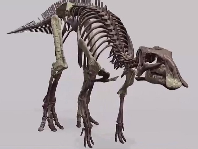 Phát hiện dấu tích loài khủng long mỏ vịt tại Chile - Ảnh 1.