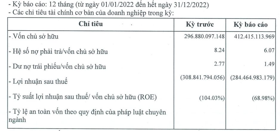 Doanh nghiệp sở hữu Cáp treo Cát Bà lỗ gần 600 tỷ trong 2 năm, trung bình lỗ 800 triệu đồng mỗi ngày - Ảnh 2.