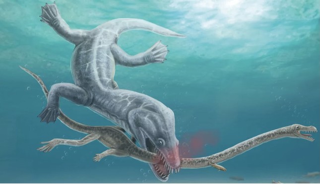 Tìm thấy quái vật biển khổng lồ 240 triệu năm tuổi bị xé toạc đầu - Ảnh 1.