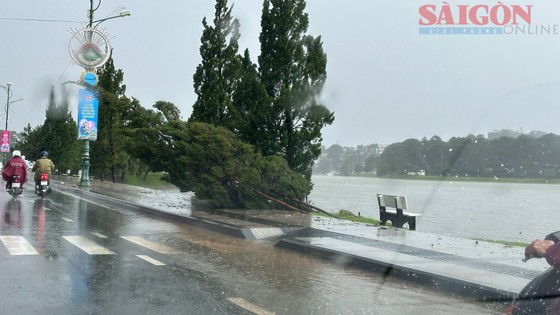 Đà Lạt: Nhiều khu vực bị ngập sau trận mưa lớn - Ảnh 9.