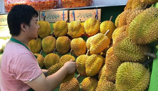 Xuất khẩu loại quả vàng quả bạc này đã tăng hơn 1.700% kể từ đầu năm, Trung Quốc ồ ạt thu mua do diện tích trồng chưa đến 1/1.000 so với Việt Nam - Ảnh 1.