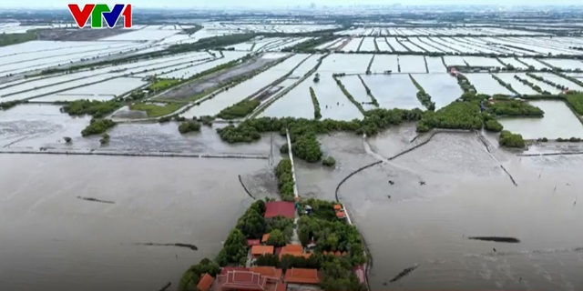 Ngôi làng bị nước biển nuốt chửng từng ngày - Ảnh 1.