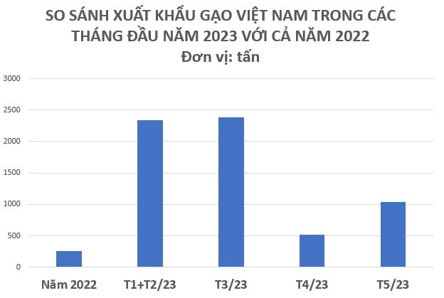 Một quốc gia châu Mỹ tăng nhập khẩu “hạt vàng” của Việt Nam hơn 4.000% trong 5 tháng đầu năm, gấp hơn 23 lần so với cả năm 2022 cộng lại - Ảnh 2.