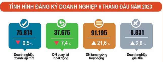 Mỗi ngày hơn 500 doanh nghiệp tạm ngừng hoạt động - Ảnh 1.