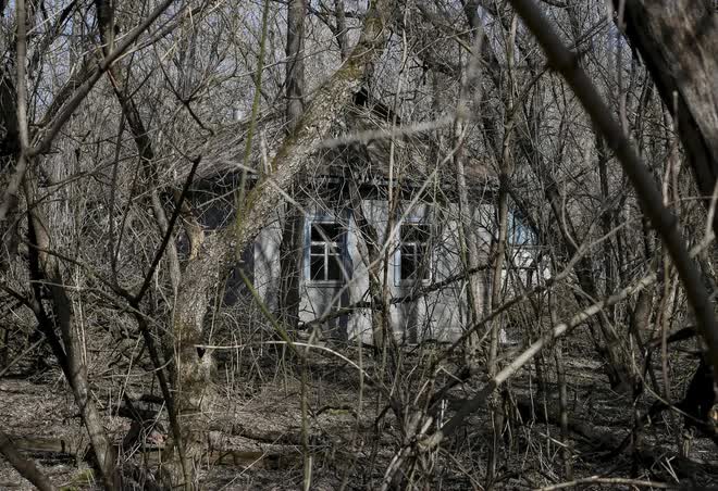 Ảnh hiếm tại vùng thảm họa hạt nhân Chernobyl sau gần 40 năm bị bỏ hoang - Ảnh 3.