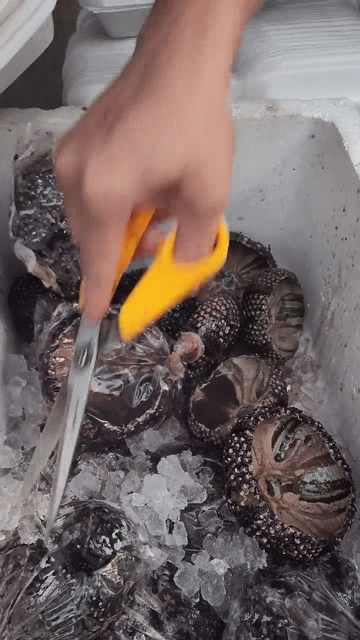 Khách Tây chia sẻ món ăn Việt độc đáo, thơm ngon nhưng nhiều người bản xứ còn chưa nghe tên - Ảnh 2. Khách Tây chia sẻ món ăn Việt độc đáo, thơm ngon nhưng nhiều người bản xứ còn chưa nghe tên - Ảnh 2.