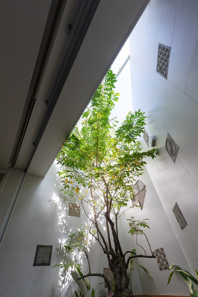 Độc lạ bên trong ngôi nhà dùng kính thay gạch, có 5 khu vườn - Ảnh 12.