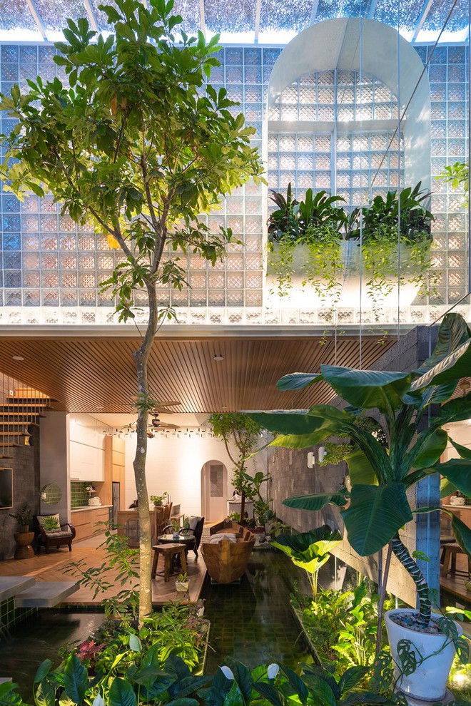 Độc lạ bên trong ngôi nhà dùng kính thay gạch, có 5 khu vườn - Ảnh 8.