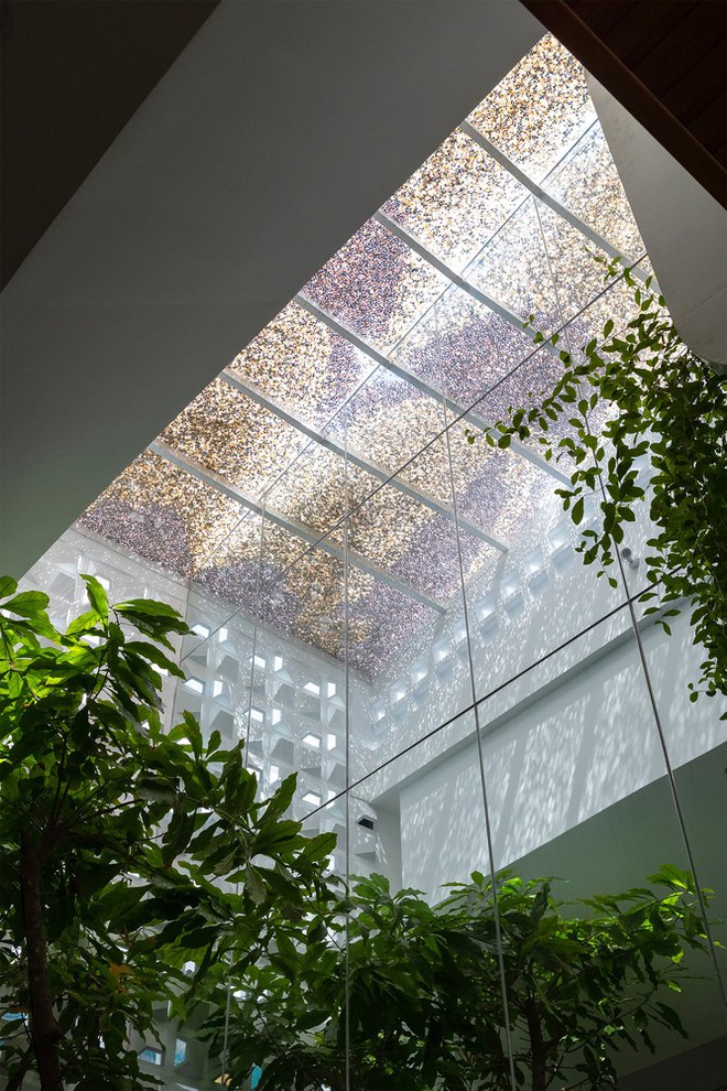 Độc lạ bên trong ngôi nhà dùng kính thay gạch, có 5 khu vườn - Ảnh 18.