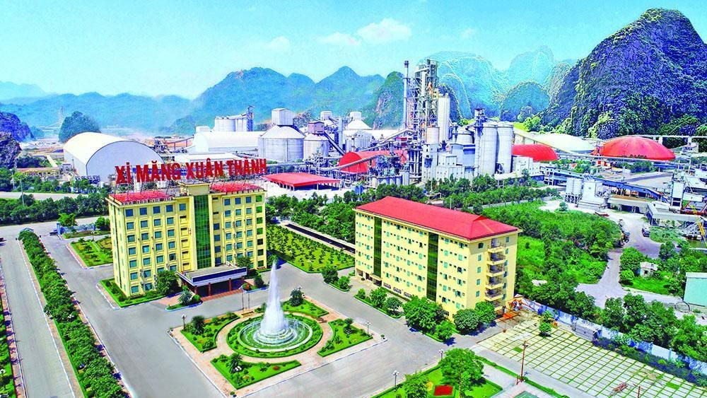 Công ty xi măng của em trai bầu Thuỵ báo lỗ 30 tỷ năm 2022, khối tài sản tỷ đô được tạo nên chủ yếu từ 16.000 tỷ nợ phải trả - Ảnh 1.