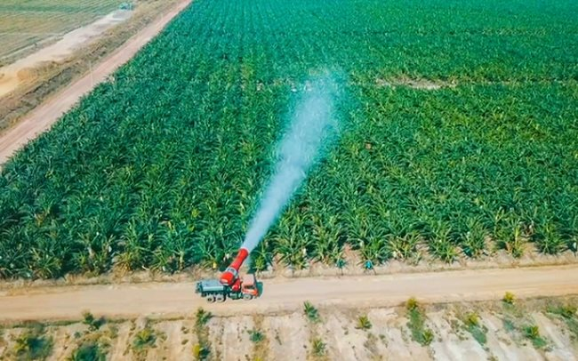 Sau ít năm đi trồng cây, chăn nuôi, Thaco Agri trở thành công ty nông nghiệp tư nhân có tài sản top đầu Việt Nam với gần 40.000 tỷ, năm 2022 vẫn lỗ gần 900 tỷ - Ảnh 1.