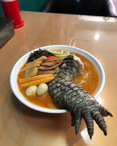 Nhà hàng Đài Loan khiến du khách sởn tóc gáy vì bán món mì chân cá sấu - Ảnh 1.