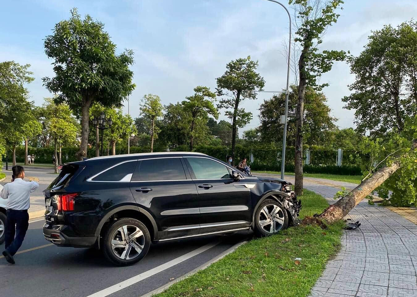 Đằng sau những bức ảnh TNGT: KIA Sorento bất ngờ lao lên vỉa hè hạ gục gốc cây lớn - Ảnh 1.