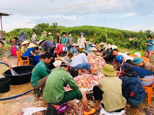 Chập điện giữa trưa nắng 40 độ, đàn gà 8.000 con bị chết ngạt - Ảnh 2.