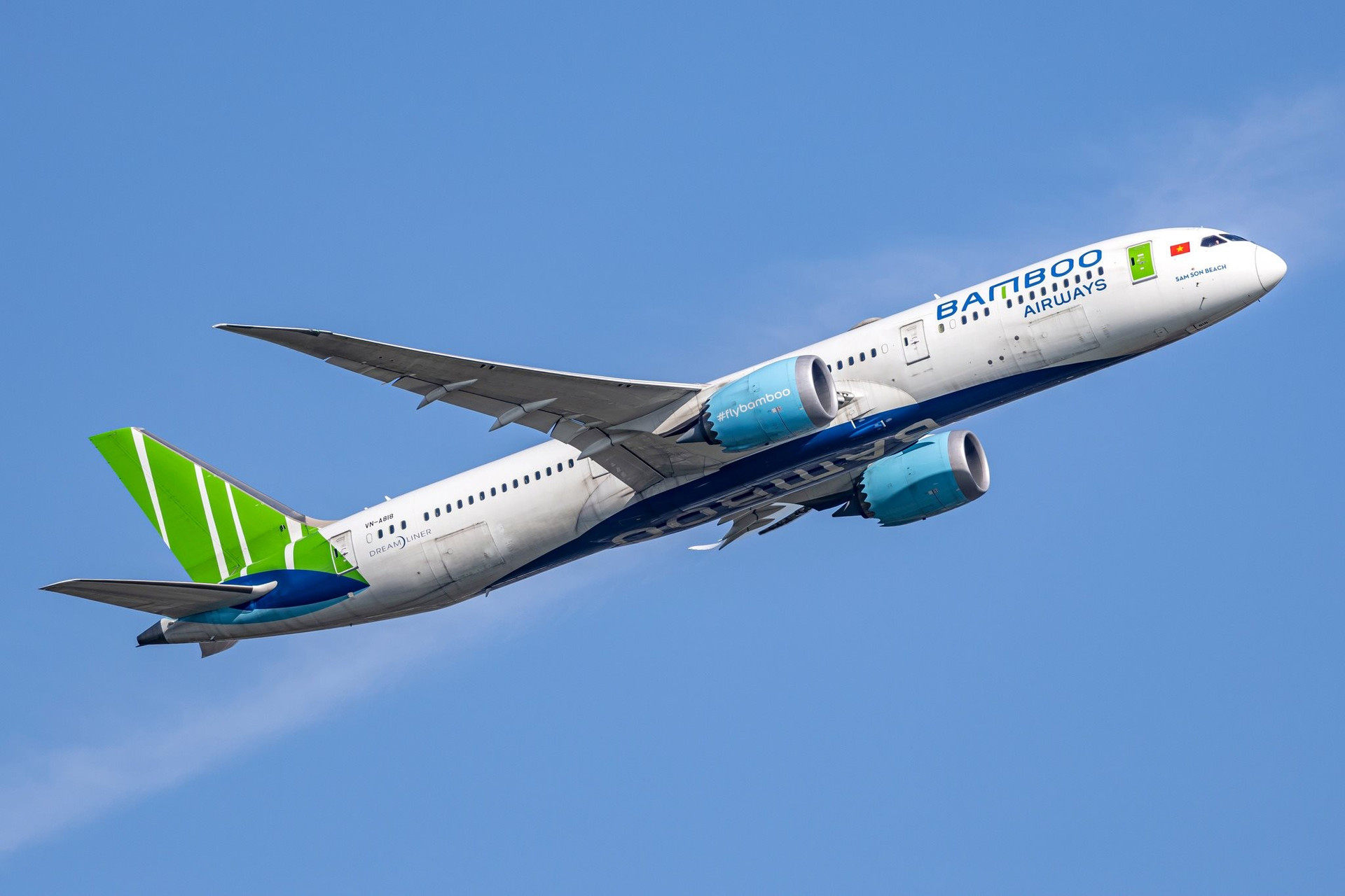 Chủ nhân của các khoản phải thu lên đến hàng nghìn tỷ đồng với Bamboo Airways - Ảnh 1.