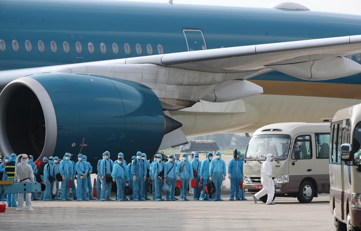 “Chuyến bay giải cứu” và những con người cần được “giải cứu” lương tâm - Ảnh 1.