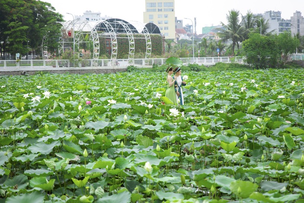 Thợ ảnh hốt “bạc triệu” mỗi ngày, các dịch vụ ăn theo kiếm bộn tiền nhờ mùa sen nở rộ - Ảnh 10.