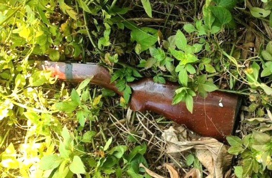 Vụ giết người trộm gà lúc rạng sáng tại Đà Nẵng: Dùng súng săn truy đuổi dẫn đến án mạng - Ảnh 1.