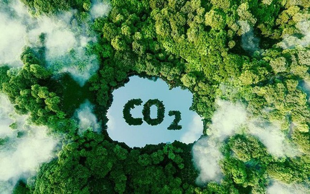 Thương mại tín chỉ carbon rừng - Ảnh 3.