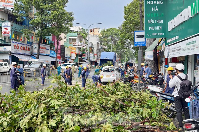 Thoát nạn trong gang tấc khi thấy cành cây cổ thụ sắp gãy xuống đường - Ảnh 5.