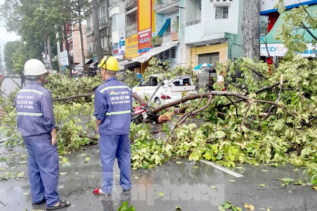 Thoát nạn trong gang tấc khi thấy cành cây cổ thụ sắp gãy xuống đường - Ảnh 1.