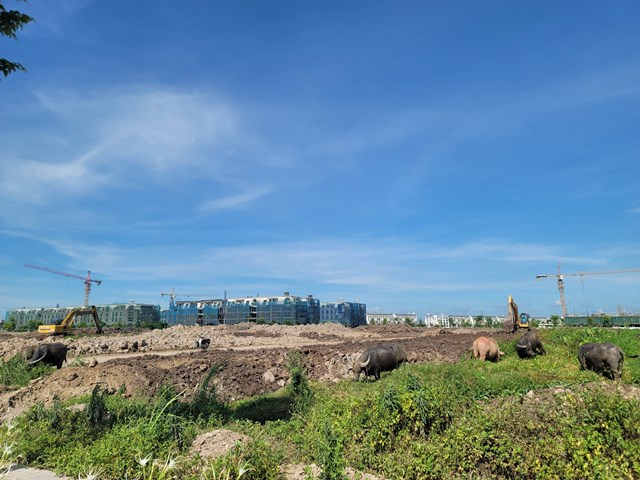 Hà Nội: Cận cảnh khu đô thị bỏ hoang hơn thập kỷ nhiều lần bị UBND thành phố nhắc nhở - Ảnh 4.