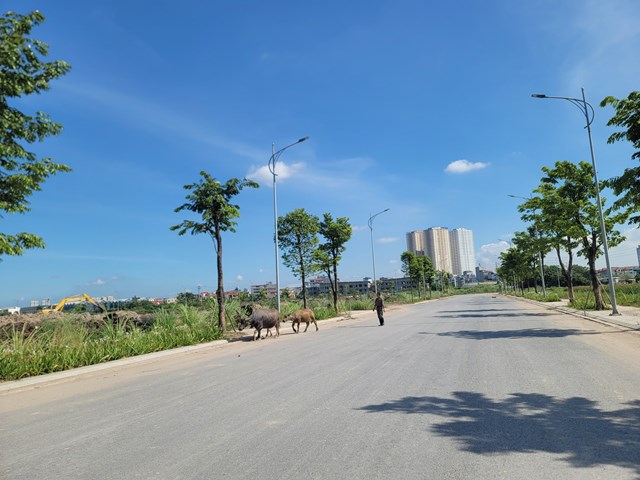 Hà Nội: Cận cảnh khu đô thị bỏ hoang hơn thập kỷ nhiều lần bị UBND thành phố nhắc nhở - Ảnh 7.