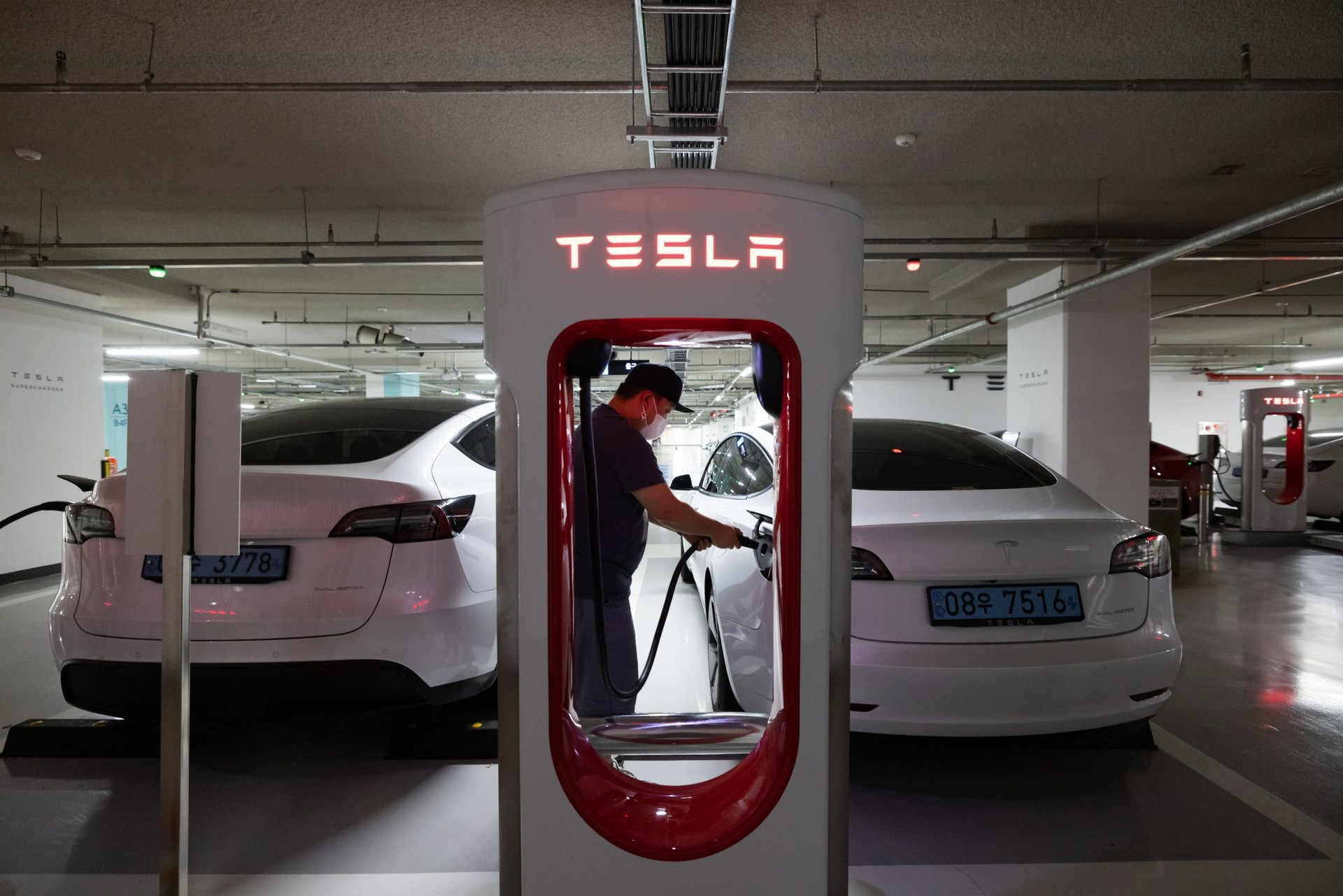 Bằng chứng cho thấy thế giới không thể cai nghiện Tesla dù có ghét Elon Musk đến mấy - Ảnh 2.