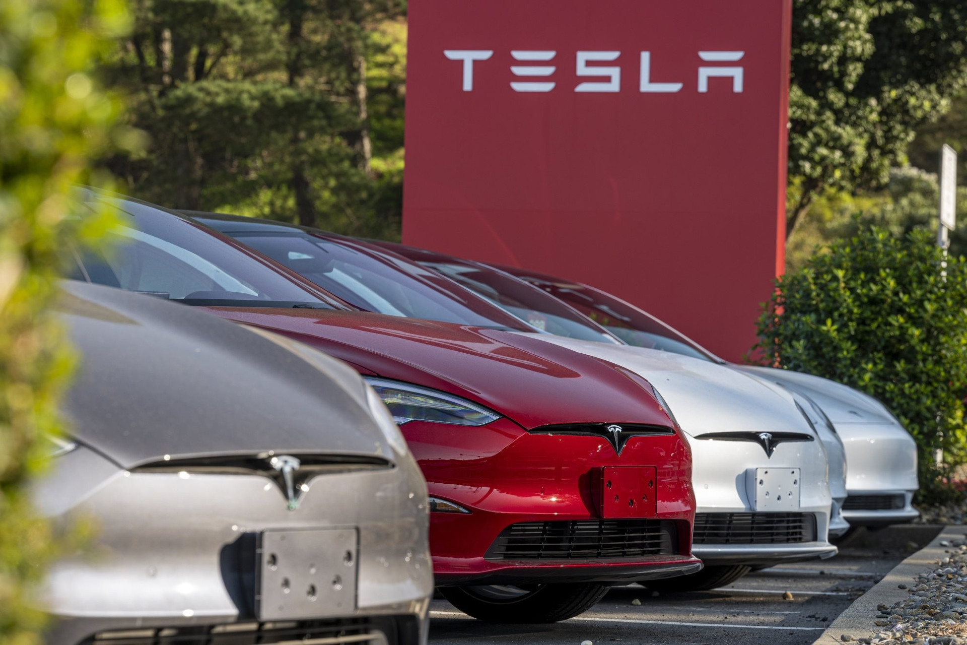 Bằng chứng cho thấy thế giới không thể cai nghiện Tesla dù có ghét Elon Musk đến mấy - Ảnh 1.