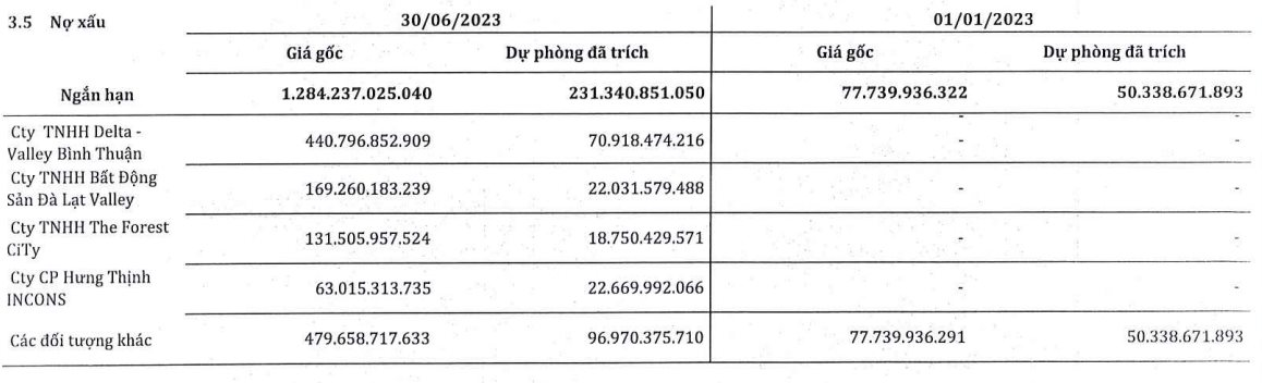 Một DN buôn thép lớn báo lỗ hơn 400 tỷ trong quý 2, dự phòng hơn 100 tỷ cho khoản phải thu với các công ty con của Novaland - Ảnh 3.