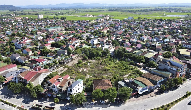 Đất vàng giữa trung tâm thành nơi... chăn bò, đổ rác - Ảnh 2.