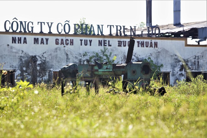 Đất vàng giữa trung tâm thành nơi... chăn bò, đổ rác - Ảnh 16.