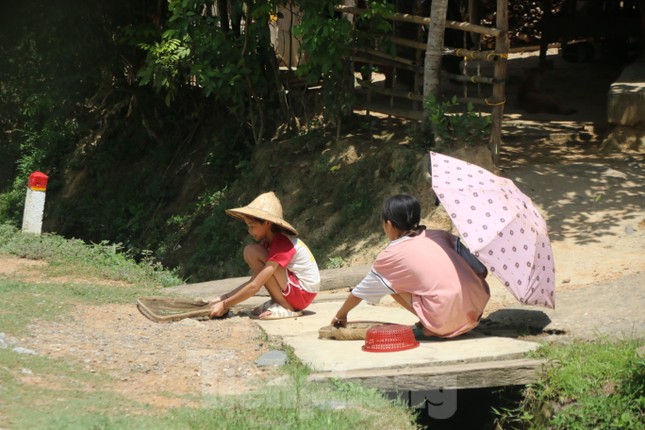 Mùa bướm đặc sản độc lạ ở miền Tây Nghệ An - Ảnh 1.