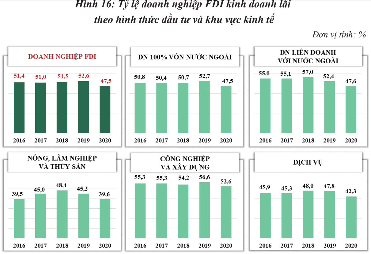 Soi khả năng sinh lời của các doanh nghiệp FDI khi đầu tư vào Việt Nam - Ảnh 3.