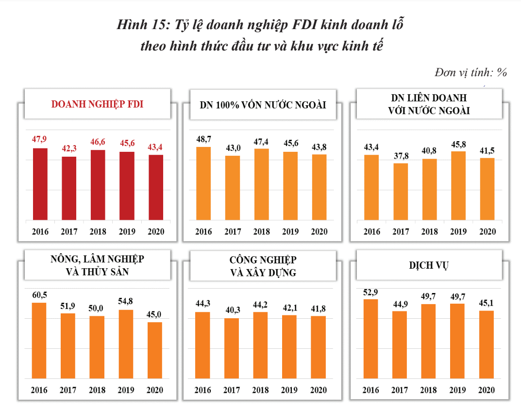 Soi khả năng sinh lời của các doanh nghiệp FDI khi đầu tư vào Việt Nam - Ảnh 2.