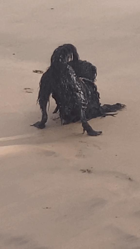 Khoảnh khắc người ngoài hành tinh đen xuất hiện trên bãi biển khiến 27 triệu người xem khiếp sợ - Ảnh 5.