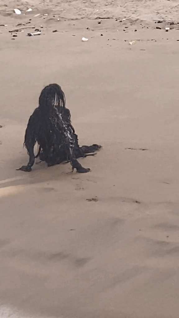 Khoảnh khắc người ngoài hành tinh đen xuất hiện trên bãi biển khiến 27 triệu người xem khiếp sợ - Ảnh 3.
