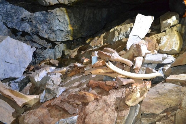 Phát hiện hang động chứa đầy xương voi ma mút, tê giác và gấu - Ảnh 1.