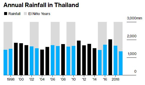 Mặt hàng Thái Lan cạnh tranh với Việt Nam bất ngờ bị đe dọa về nguồn cung, vị trí nhà cung cấp lớn thứ 2 thế giới lung lay - Ảnh 2.