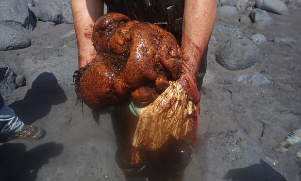 Cá voi chết dạt vào bờ biển, các nhà nghiên cứu mổ bụng phát hiện hòn đá, hóa ra là báu vật - Ảnh 2.
