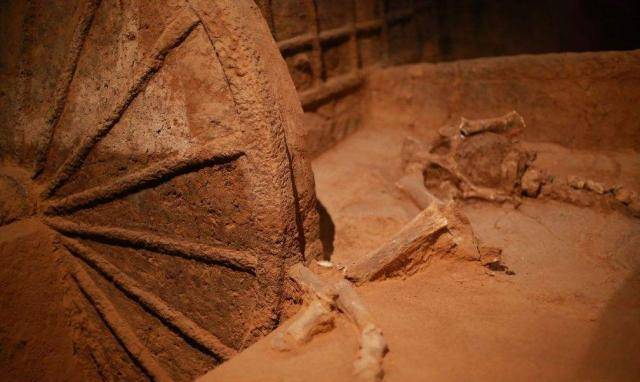 Tìm thấy gói mỳ được sản xuất năm 1994 trong mộ cổ hơn 2.000 năm, chuyên gia hét lớn lập tức gọi cảnh sát - Ảnh 2.