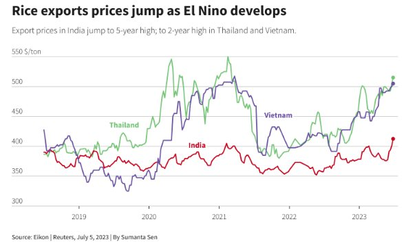 Giá xuất khẩu lập đỉnh 2 năm, đây là lý do “hạt ngọc trời” của Việt Nam sẽ còn tăng giá mạnh hơn nữa trong thời gian tới - Ảnh 2. Giá xuất khẩu lập đỉnh 2 năm, đây là lý do “hạt ngọc trời” của Việt Nam sẽ còn tăng giá mạnh hơn nữa trong thời gian tới - Ảnh 2.