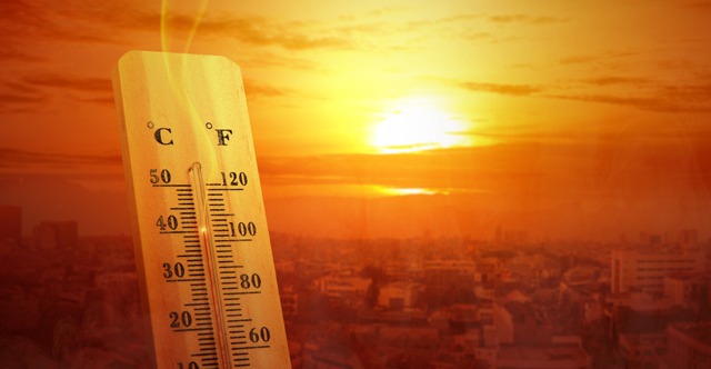 CNN: Nhiệt độ toàn cầu ấm nhất trong 100.000 năm tại 3 ngày tháng 7 - Nắng nóng đổ lửa nhiều nơi - Ảnh 2.