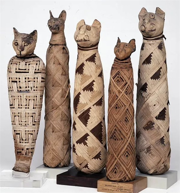 Mèo thời Ai Cập cổ đại - Ảnh 3.