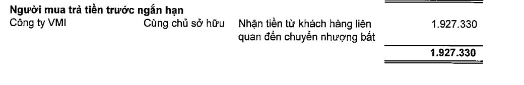 Taxi Xanh GSM và VMI - 2 công ty riêng của ông Phạm Nhật Vượng đã đem về cho Vingroup bao nhiêu tiền trong nửa đầu năm? - Ảnh 2.